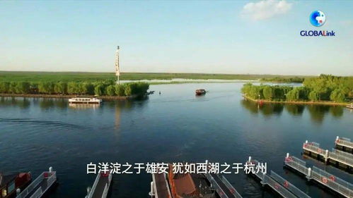 大美白洋淀 環(huán)境檢測服務(wù)助力生態(tài)保護