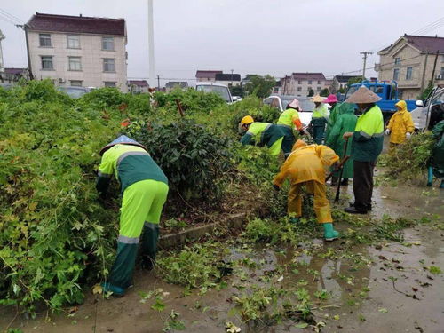 一把掃帚管到底，掃出文明新風(fēng)貌——環(huán)境治理之路