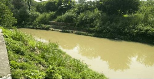 治水攻堅(jiān)戰(zhàn) | 新華街水環(huán)境治理進(jìn)行時(shí)——9月11-13日環(huán)境檢測服務(wù)戰(zhàn)報(bào)